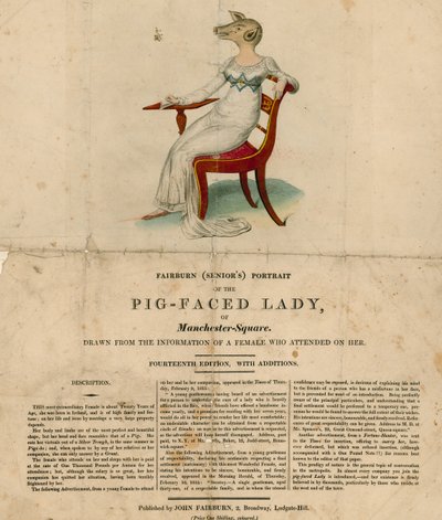 A Porco-enfrentou a senhora de Manchester Square, Londres de English School