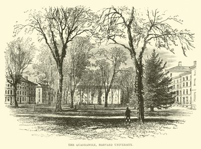 O Quadrilátero, Universidade de Harvard de English School