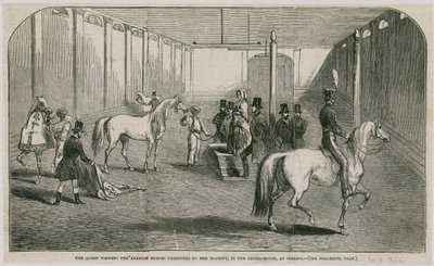 A rainha vendo os cavalos árabes apresentados a sua Majestade, na casa de equitação em Pimlico de English School