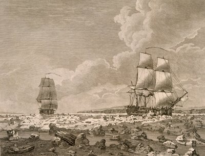 O cavalo de corrida e carcaça forçando através do gelo, 10 de agosto de 1773, de uma viagem para o Polo Norte realizado por seu comando de majestades de 1773, publicado em Londres 1774 de English School