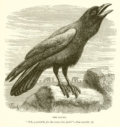 O Corvo de English School