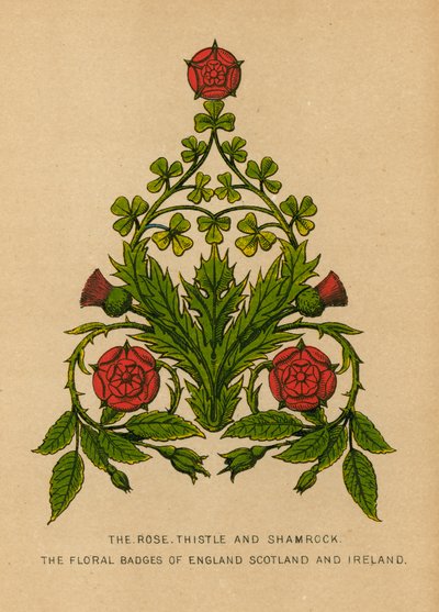 A rosa, cardo e trevo. Os emblemas florais da Inglaterra, Escócia e Irlanda de English School