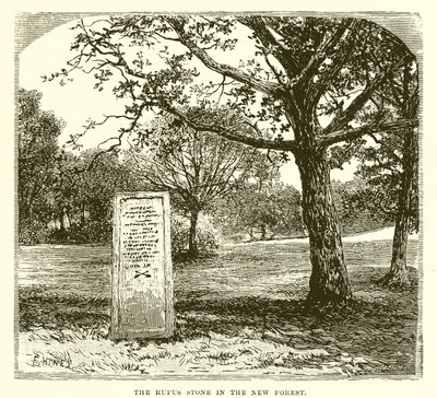 A pedra de Rufus na nova floresta de English School