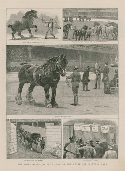 O Shire Horse Societys show no Royal Agricultural Hall de English School