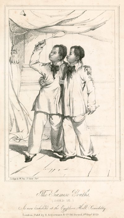 Os jovens siameses (18 anos), uma nova exposição no Egyptian Hall, Piccadilly de English School