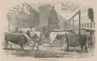 O Smithfield Club Cattle Show Yard de English School