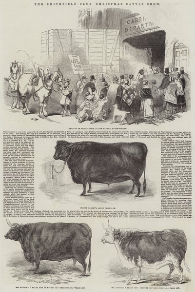 The Smithfield Club Christmas Cattle Show (gravura) de English School