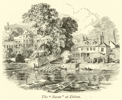 O cisne em Ditton de English School