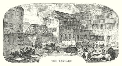 O curral (gravura) de English School