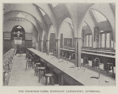 O Laboratório de Histologia Thompson-Yates, Liverpool (gravura) de English School