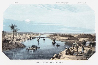 O Tigre em Nineveh (gravura colorida) de English School
