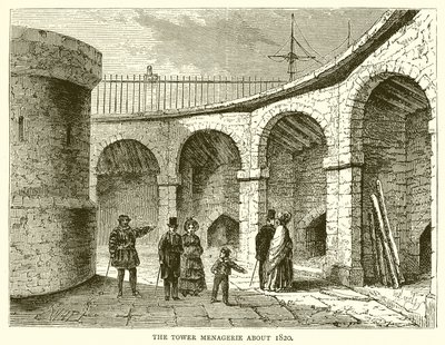 A menegerie torre sobre 1820 de English School