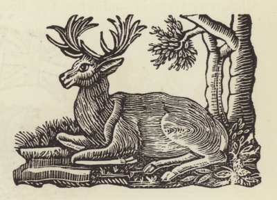 The White Hart (gravura) de English School