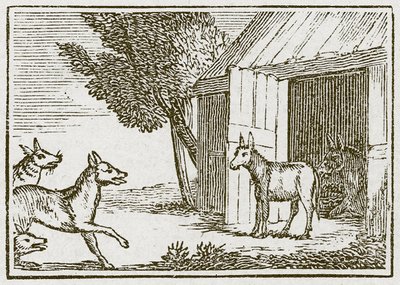 Os Lobos e o Rabo Doente (gravura) de English School