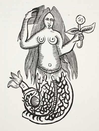 A maravilha das maravilhas, ilustração dos Chap-livros do século XVIII por John Ashton, bar. 1882 de English School