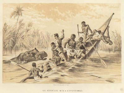 A aventura com um hipopótamo de English School