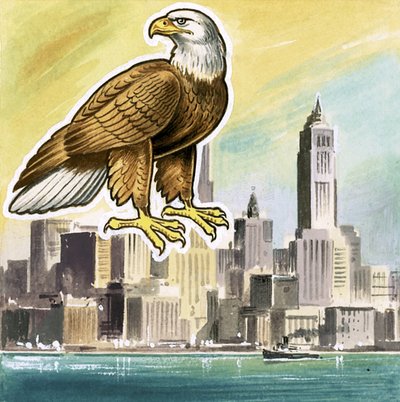 A águia careca, emblema dos Estados Unidos de English School