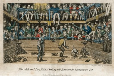 O célebre cão billy a matar 100 ratos no fosso de Westminster (gravura a cores) de English School