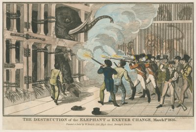 A destruição do elefante em Exeter Change, 1 de março de 1826 de English School
