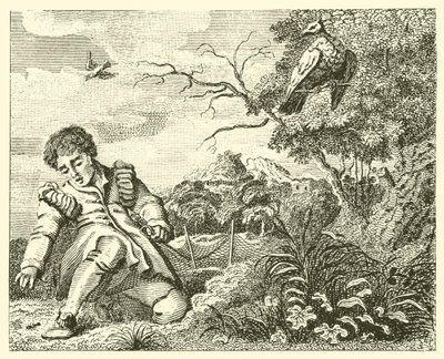 A pomba e a formiga (gravura) de English School