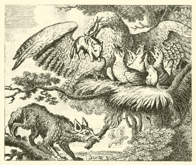 A águia e a raposa (gravura) de English School