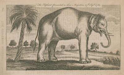 O elefante apresentado a suas majestades de English School