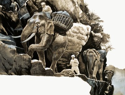O passeio de elefante de Elephant Bill de English School