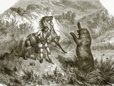 O primeiro tiro em um urso pardo de English School