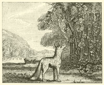 A raposa e as uvas (gravura) de English School