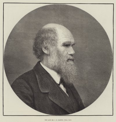 O falecido Sr. CR Darwin, FRS, LLD de English School
