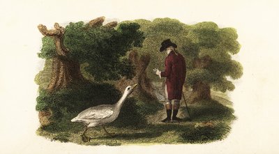 O ganso Jacquot e o seu amigo humano, um cavalheiro francês. de English School