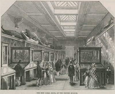 O novo Coral Room no British Museum de English School