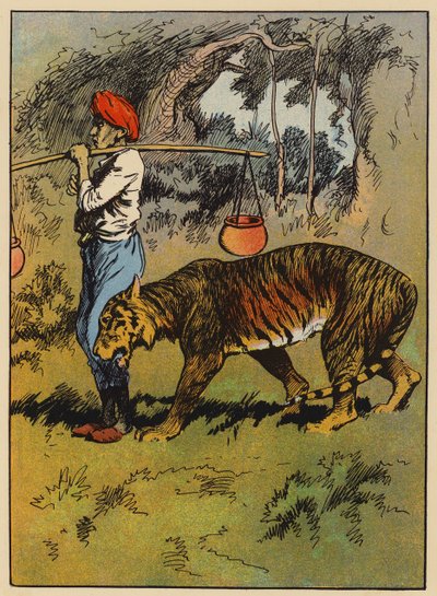 O tigre esfrega-se contra a perna do homem (cor litho) de English School