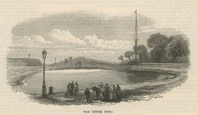 A lagoa superior, Hampstead Heath de English School