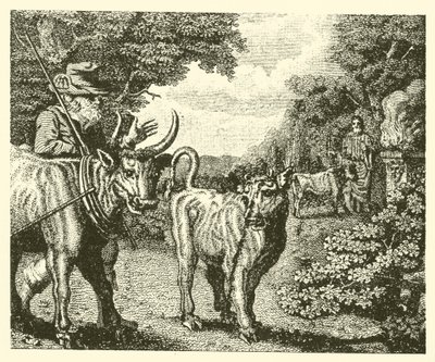 O bezerro maltrapilho (gravura) de English School