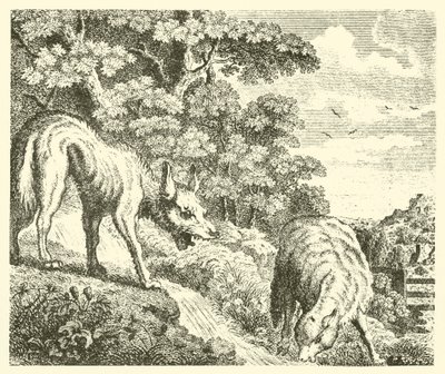 O lobo e o cordeiro (gravura) de English School