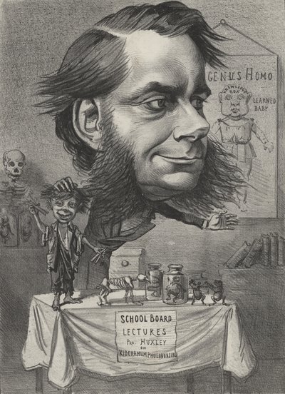 Thomas Henry Huxley, biólogo inglês de English School