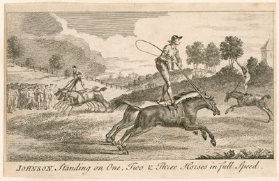 Thomas Johnson em pé em um, dois e três cavalos em velocidade máxima de English School