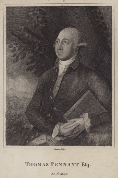 Thomas Pennant, naturalista e topógrafo galês (gravura) de English School