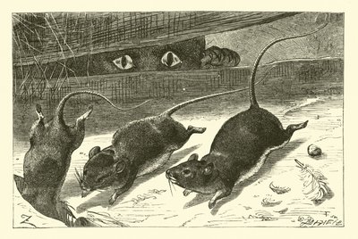 Três ratinhos de English School