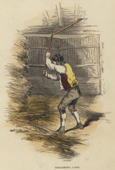 Threshing Corn (gravação a cores) de English School