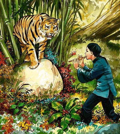 Tigre sendo jogado na flauta de English School
