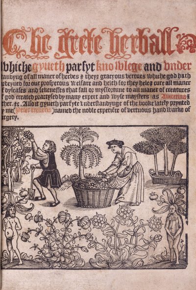 Página de título ilustrando uma cena de jardim com figuras, 1529 de English School
