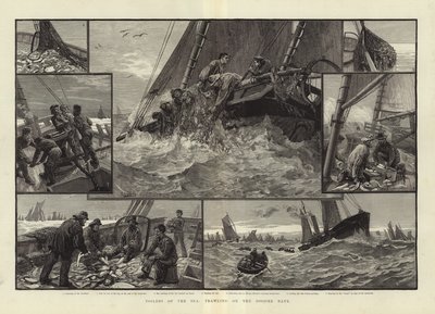 Toilers do mar que trawling no banco de Dogger de English School