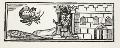 Tom escondeu-se e tentou fugir nas costas de uma borboleta, ilustração de Chap-books do século XVIII de John Ashton, pub. 1882 de English School