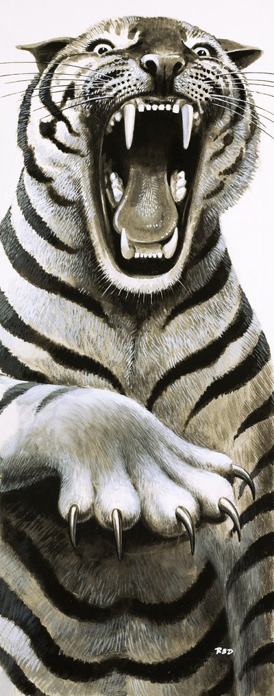 Dentes e garras de English School
