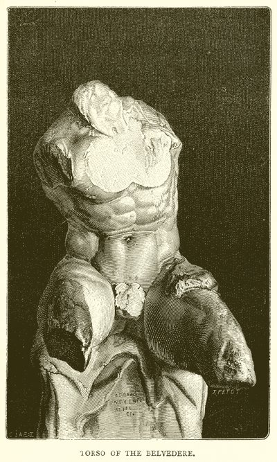 Torso do Belvedere de English School