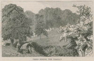 Árvores atrás do viaduto de English School