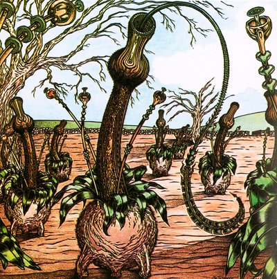 Triffids de English School