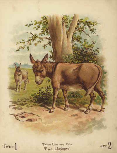 Dois burros (cromolitografia) de English School